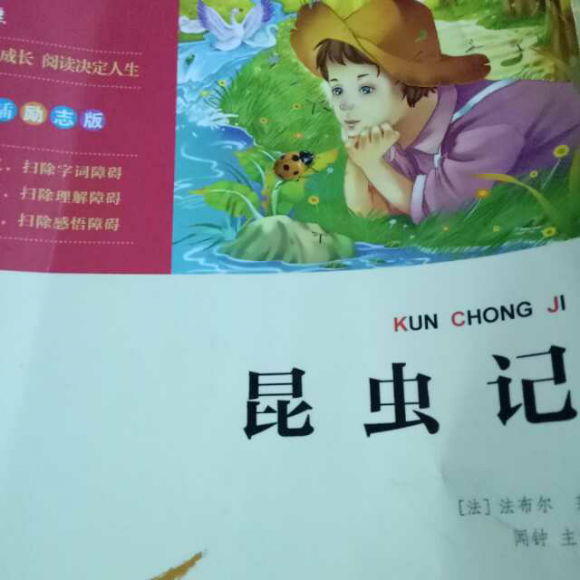 昆虫记 神秘的池塘