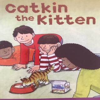 Catkin the Kitten