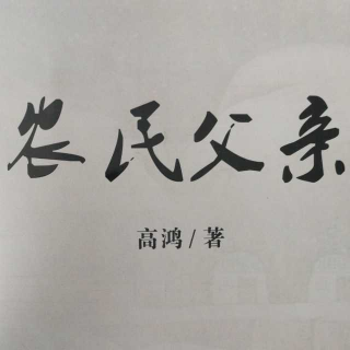 高鸿《农民父亲》一