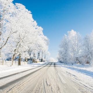 雨雪风韵。   下雪啦！