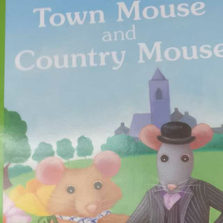 Town Mouse and Country  Mouse