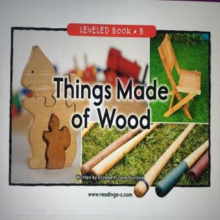 RAZ B《Things Made of Wood》
