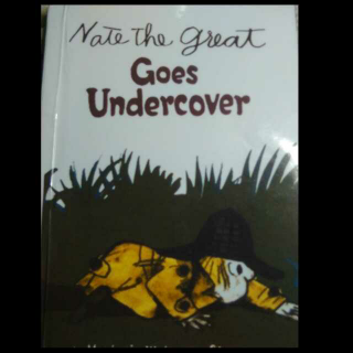 Nate the great一一Goes undercover