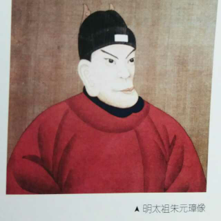 写给儿童的中国历史11—2、瘌痢头皇帝