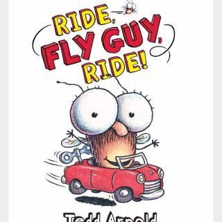 Ride fly guy ride
