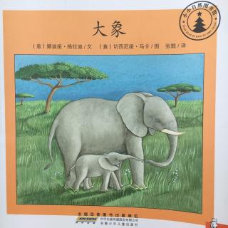 3Y5M 《小小自然图书馆：大象》