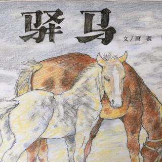 新爱婴睡前故事｜驿马🐴