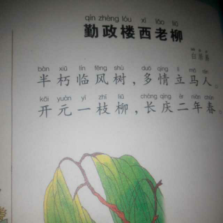 一蓑烟雨任平生_荔枝