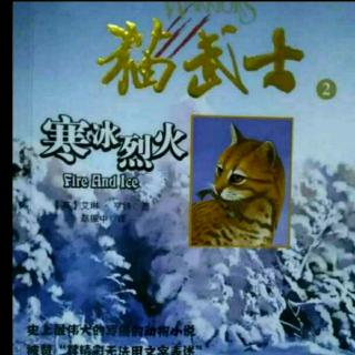 猫武士―寒冰烈火6