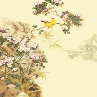 唐诗英译-春晓 A Spring Morning