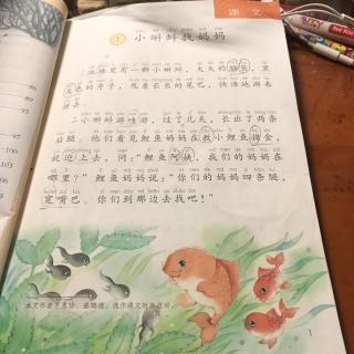 二年级语文上册，1《小蝌蚪找妈妈》