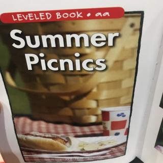 Summer picnics