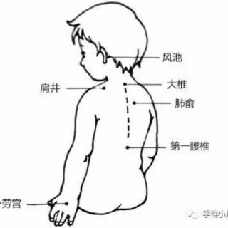 第八十四期：感冒了？我们应该怎么做。