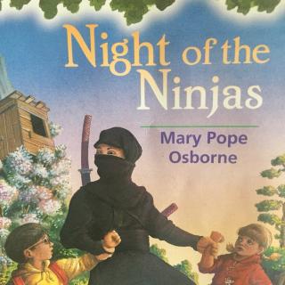 Night of the Ninjas/Chapter6:Shadow Warrior