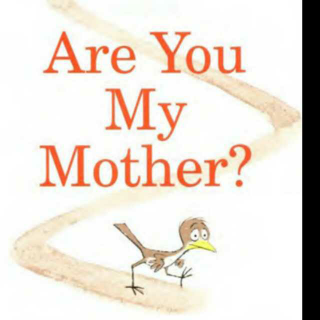 Are you my mother 小鸟🐦找妈妈
