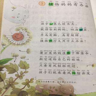 3、植物妈妈有办法