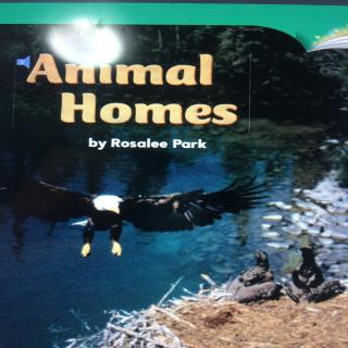 22 Animal Homes