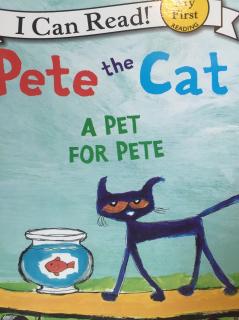 #皮特猫# 【004】皮特的宠物