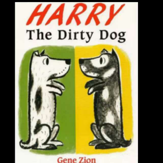 Harry the dirty dog 不爱洗澡的小狗🐶