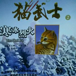 猫武士―寒冰烈火10