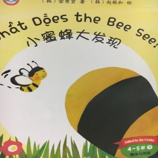 What does a bee see? 小蜜蜂大发现