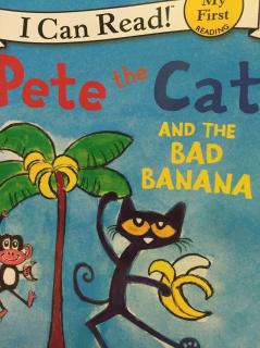 #皮特猫# 【003】吃了一根坏香蕉