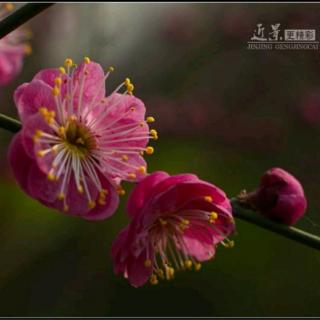 七律·教师节感怀    作者：徐留德    诵读：思雨