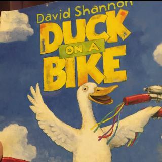 Duck on the bike