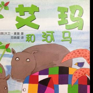 花格子大象艾玛系列（11）—艾玛和河马
