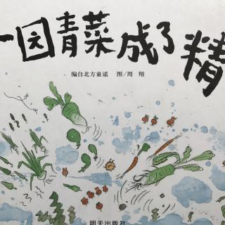 一园青菜成了精