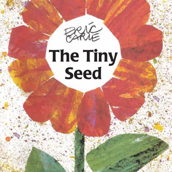 【julia美语】英语版-小种子 the tiny seed