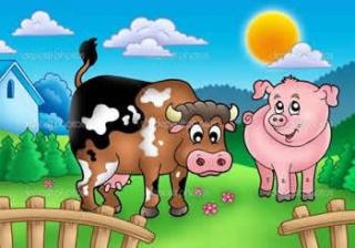艺童星姜老师讲故事猪和牛