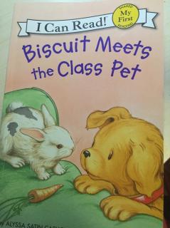 D139 biscuit meets the class pet