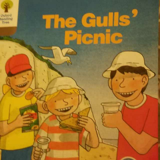 DD2–4 The Gulls Picnic