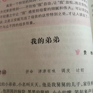 我的小弟弟