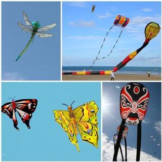 send the kite up | 英语启蒙听力筑基微课