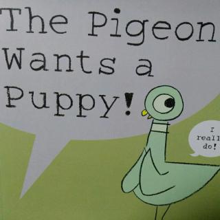 The Pigeon wants a puppy