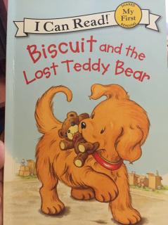 D140 biscuit and the lost teddy bear