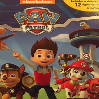 Paw Patrol - My Busy Books