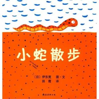 30.小蛇散步