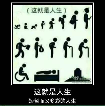 这就是人生