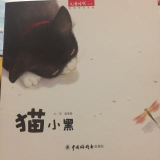悠妈读绘本 No.6 《猫小黑》20170910