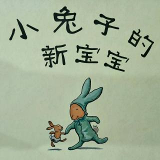 悦读荟文文姐姐讲故事《小兔子的新宝宝》