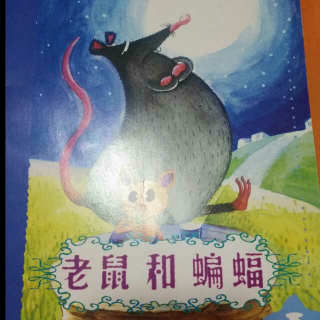 老鼠和蝙蝠   绘本故事