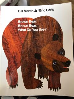 brown bear，what you see？