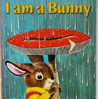 I Am a Bunny