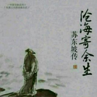 苏东坡传《沧海寄余生》22第六章（4）