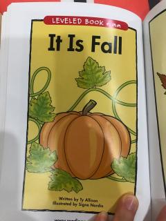 It is fall