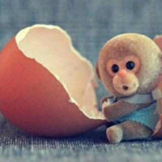 8、《猴子🐵偷鸡蛋》