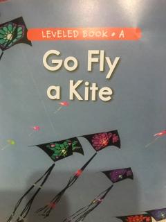 Go fly a kite